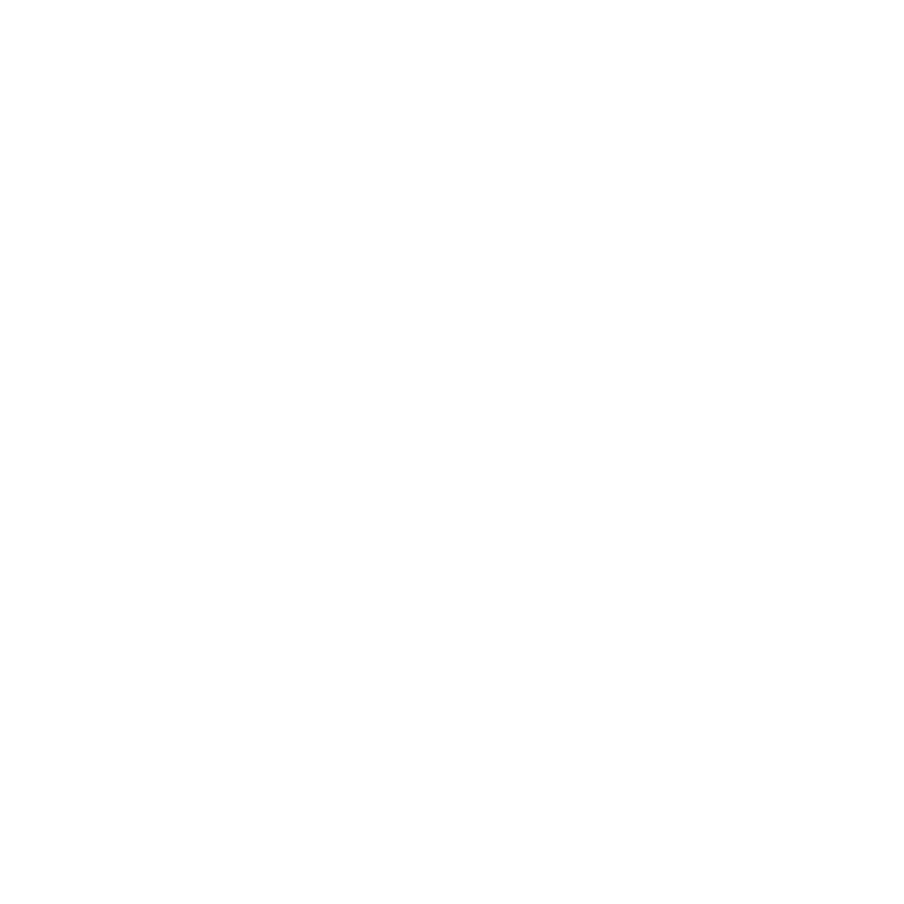 Fess Security Inc